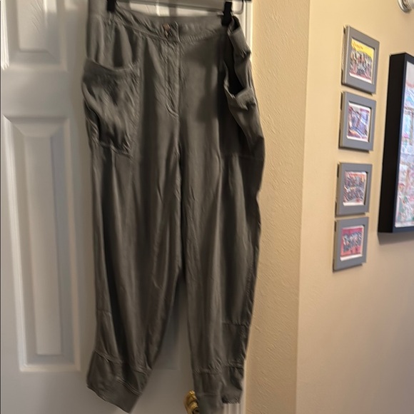 Like New, Anthropologie Daily Practice Relaxed Joggers in Spruce - Size Medium - Picture 6 of 12